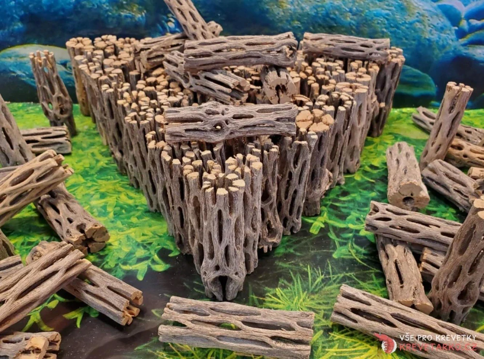 Cholla wood 7,5 cm