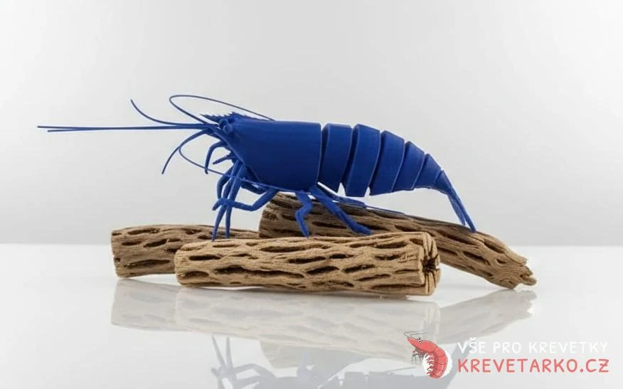 Cholla wood odřezky 50g