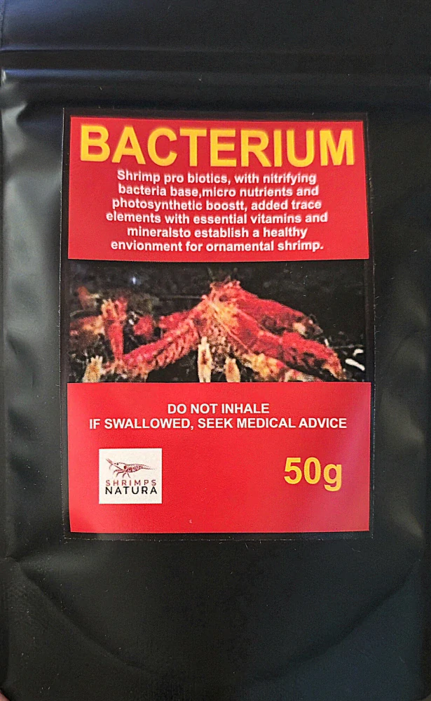 Bacterium Probiotika