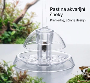 Past na šneky