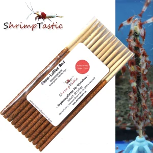 Shrimp Lollies Nano Red 12ks