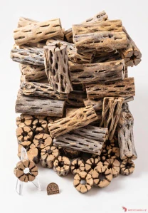 Cholla wood 7,5 cm