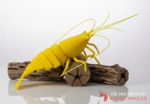 Cholla wood odřezky 100g