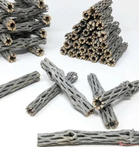Cholla wood 15cm 3+1 zdarma