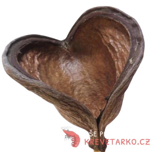 Badamský ořech - Badam nut