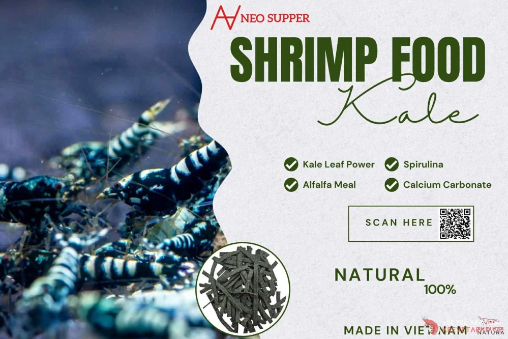 AV Neo Supper Kale