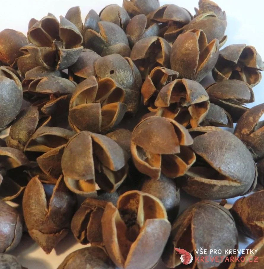 Bakuli lusky 15 ks