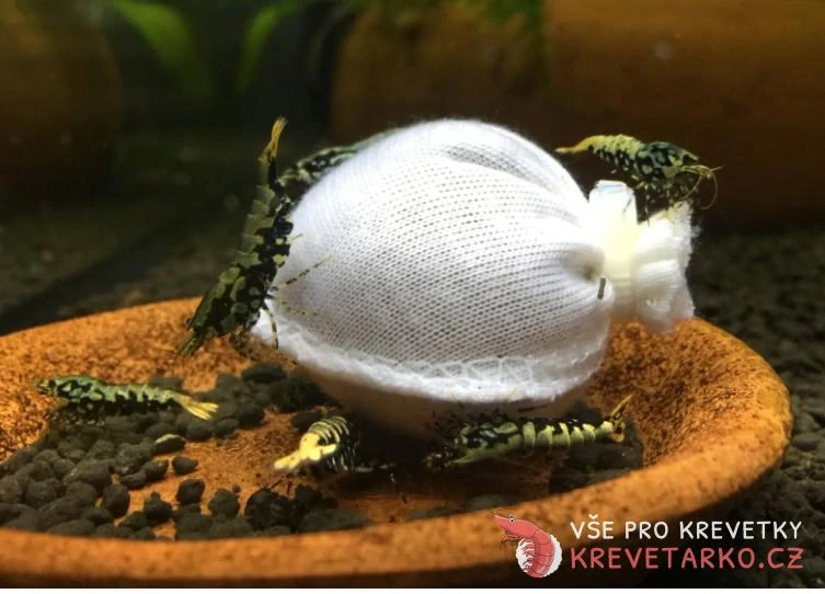 Shrimp Sancuary KALLAX Ball 1ks