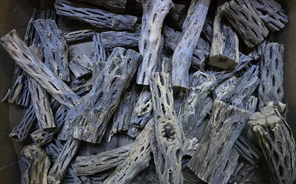 Cholla wood odřezky 200g
