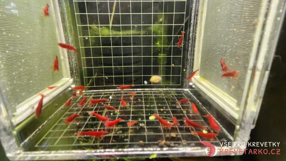 Izolační Box 3D