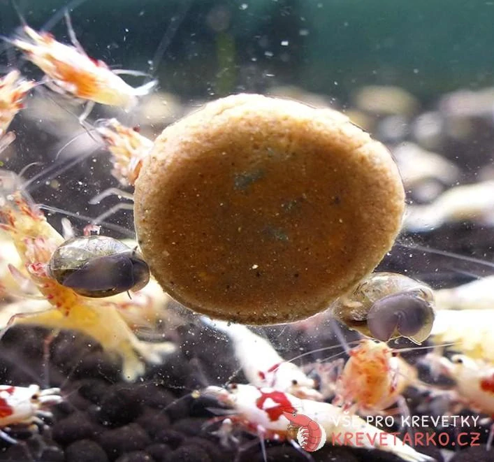 TIMA Garnelenpaste Gravid & Red