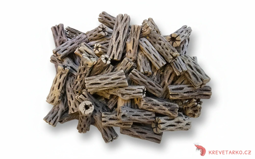 Cholla wood odřezky 100g