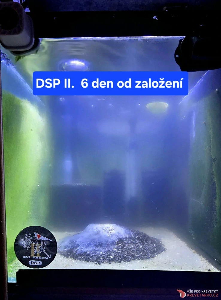 DSP II - Death Shrimp Powder 100g