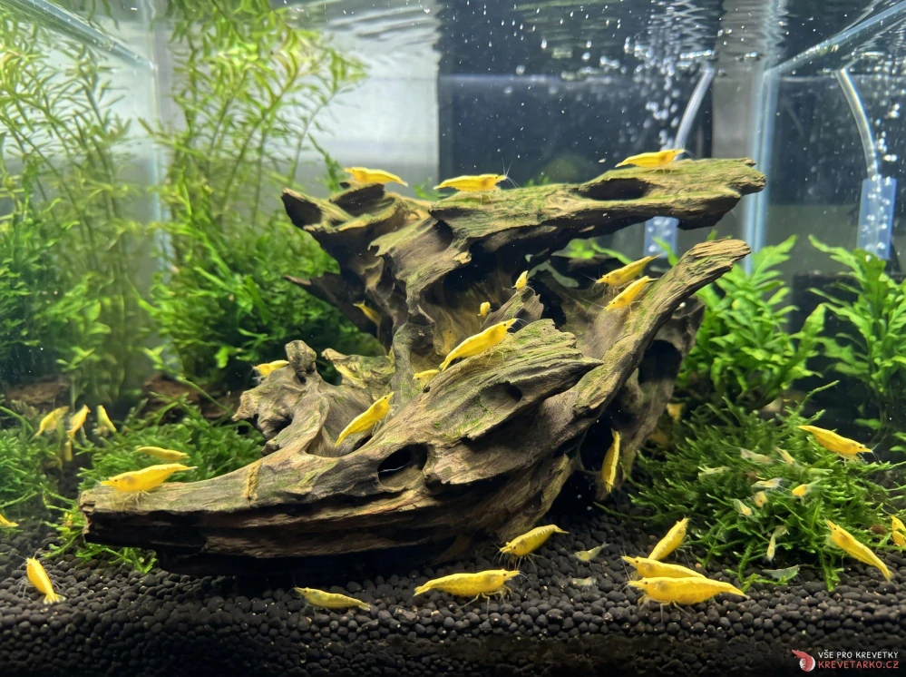 Honeycomb Wood 20-30cm