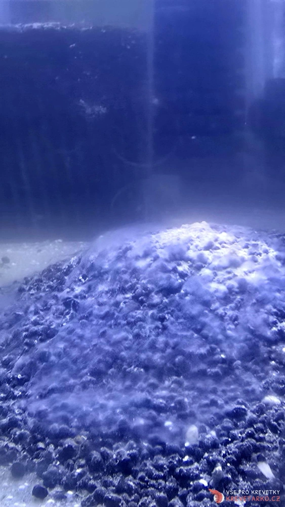 DSP II - Death Shrimp Powder 100g