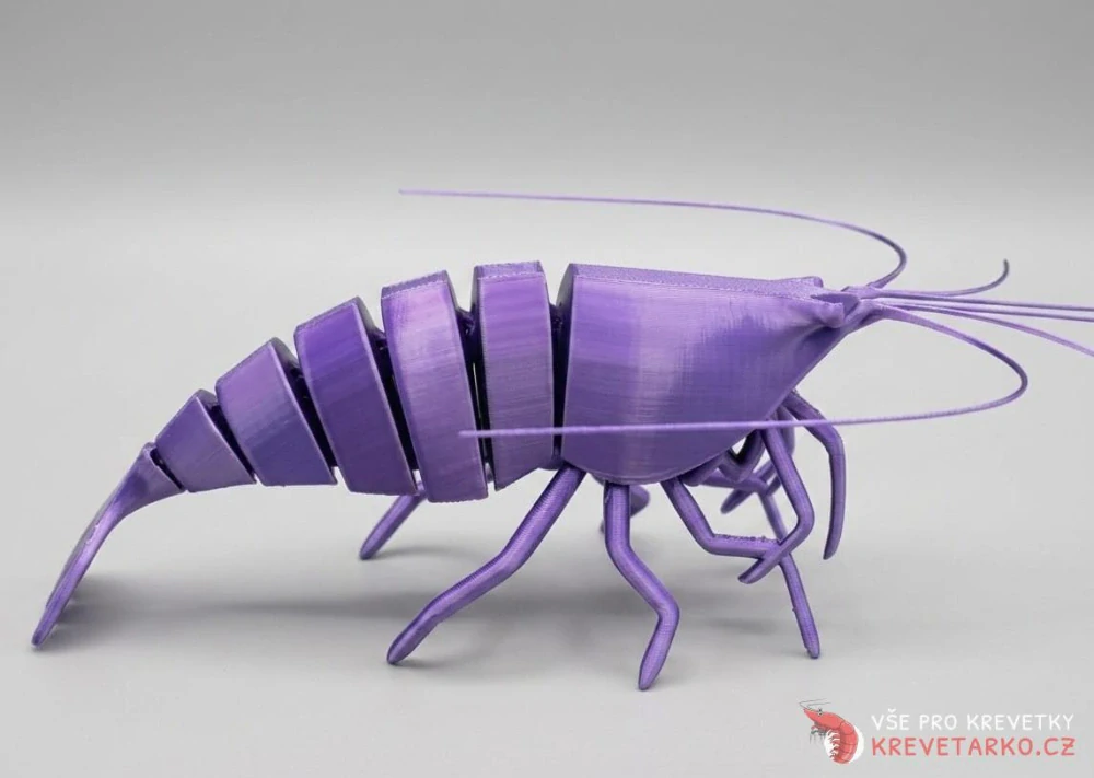 Pohyblivá 3D kreveta