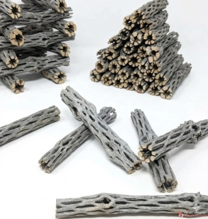 Cholla wood 15cm 3+1 zdarma